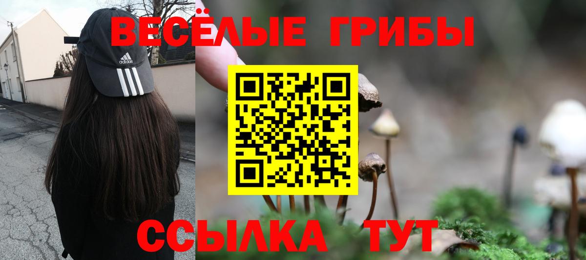 Галлюциногенные грибы Magic Shrooms Севастополь